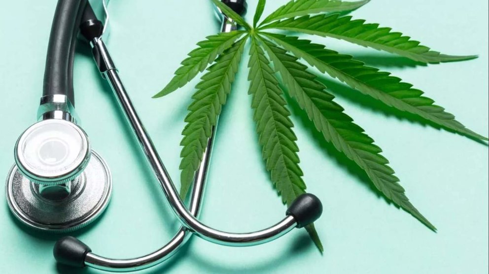  Cannabis medicinal 