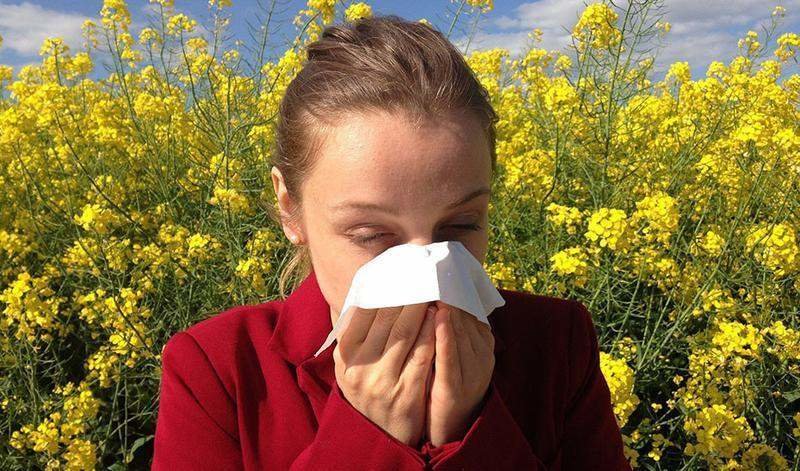  En 2020 Salud Responde recibió 107.918 peticiones de información sobre los niveles de polen o cómo actuar ante crisis alérgicas. 