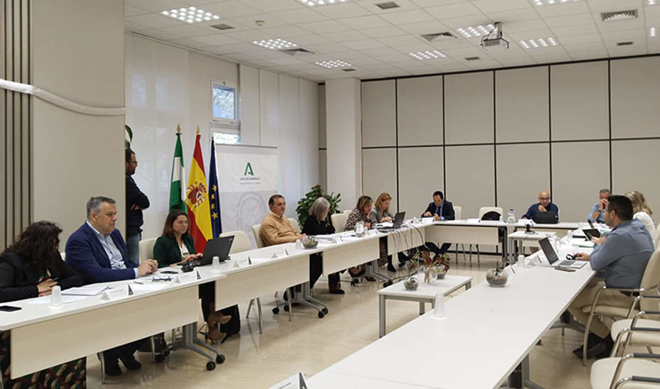  Comité director del Plan Estratégico de Salud Mental y Adicciones de Andalucía | Junta de Andalucía 