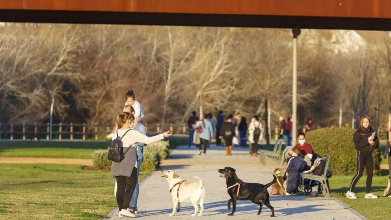  Due&ntilde;a con sus perros. - Jos&eacute; Le&oacute;n. 