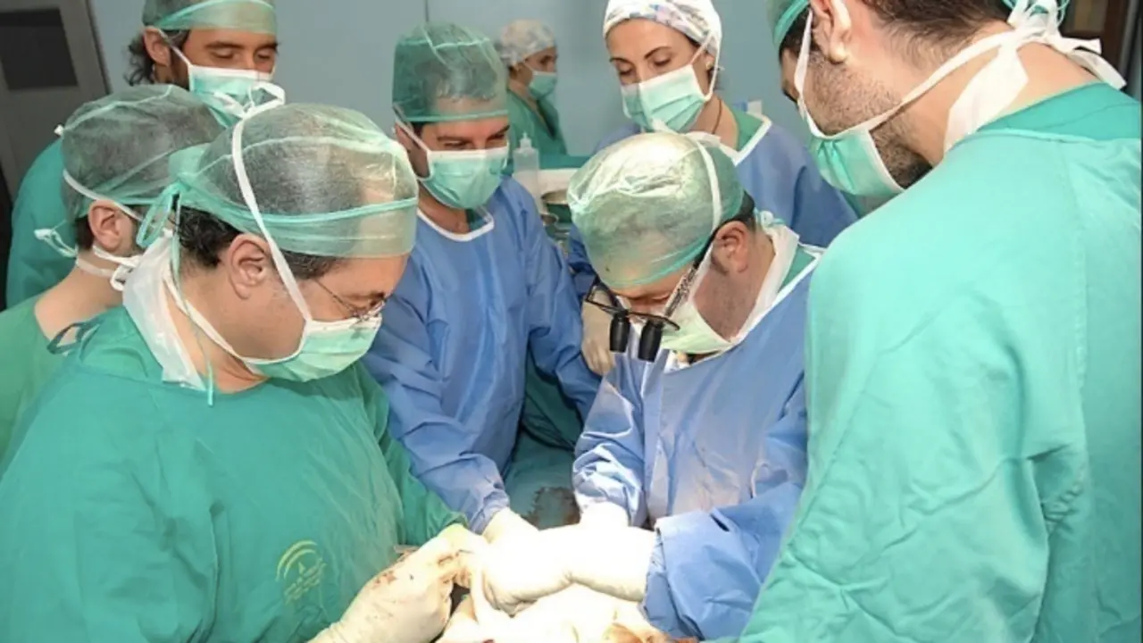  Trasplante renal. - Junta de Andaluc&iacute;a 