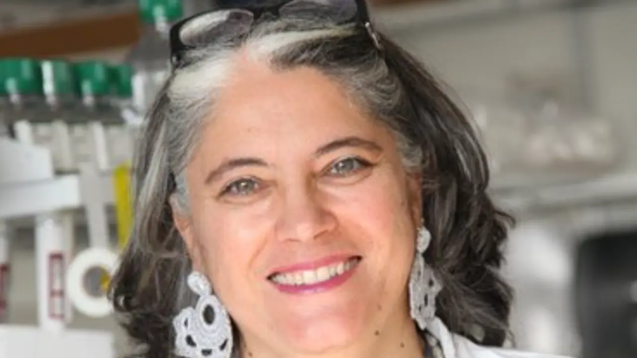  Ana Fern&aacute;ndez Sesma 