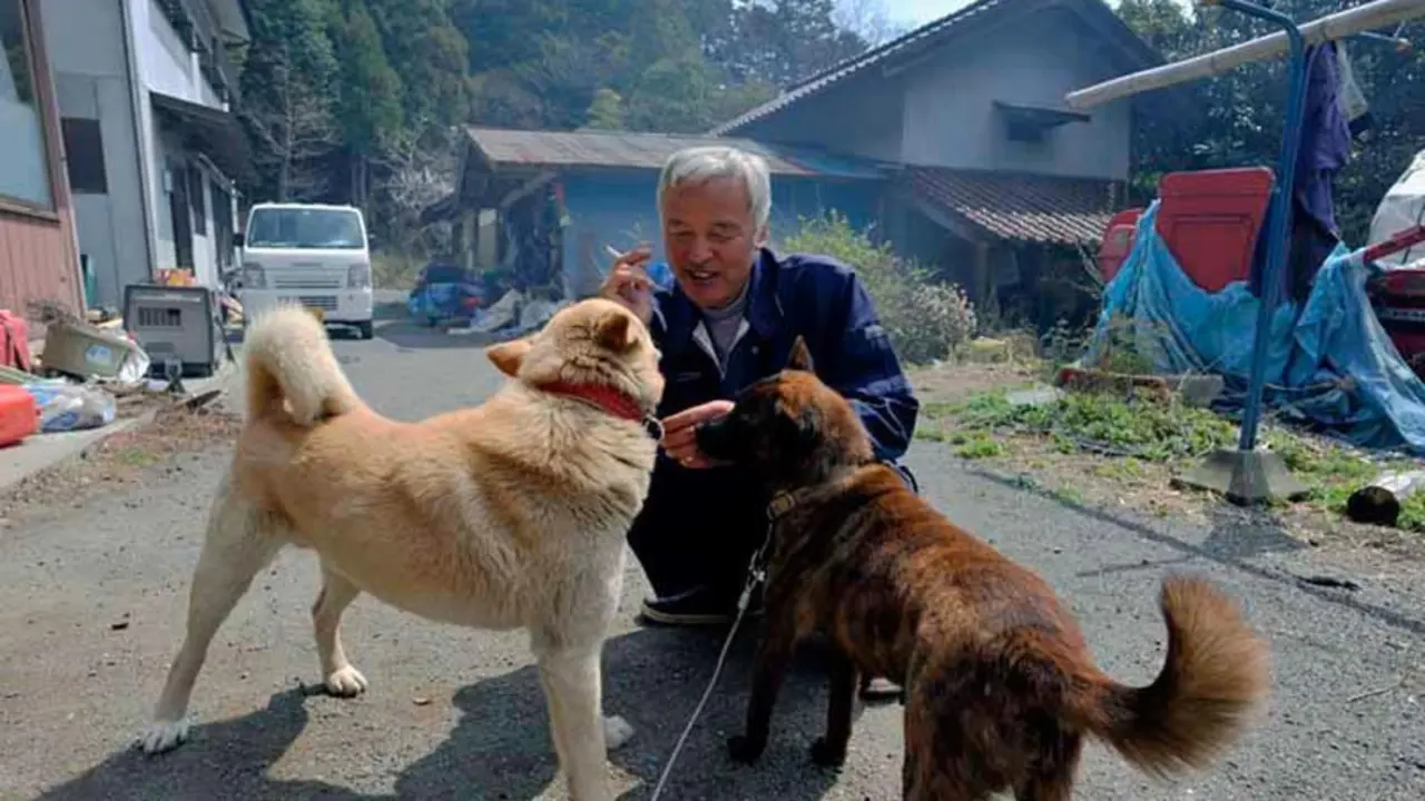  fukushima-radioactive-disaster-abandoned-animal-guardian-naoto-matsumura-17 