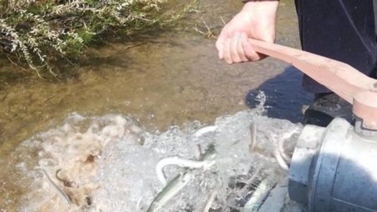  fotonoticia_20210312110521_1920 