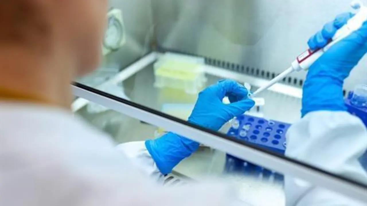  Test en un laboratorio 