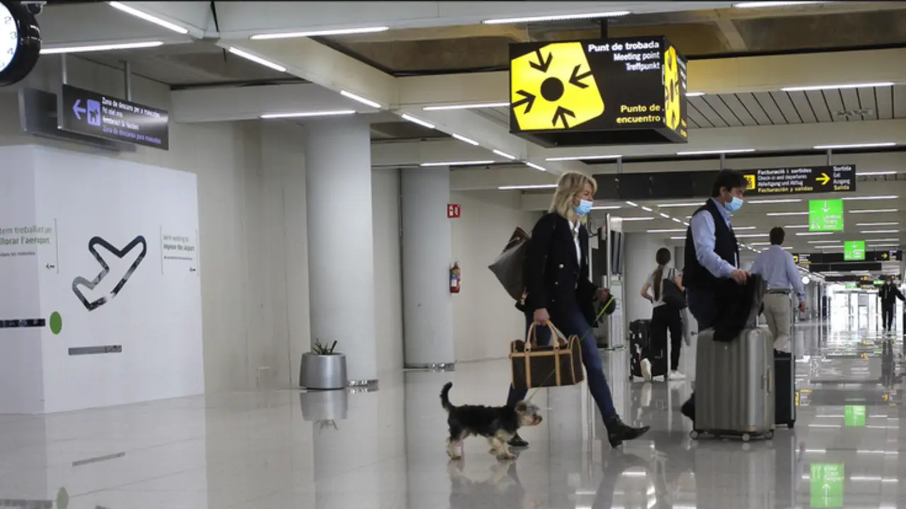  Viajeros internacionales a su llegada al aeropuerto de Palma de Mallorca. - Isaac Buj - Europa Press 