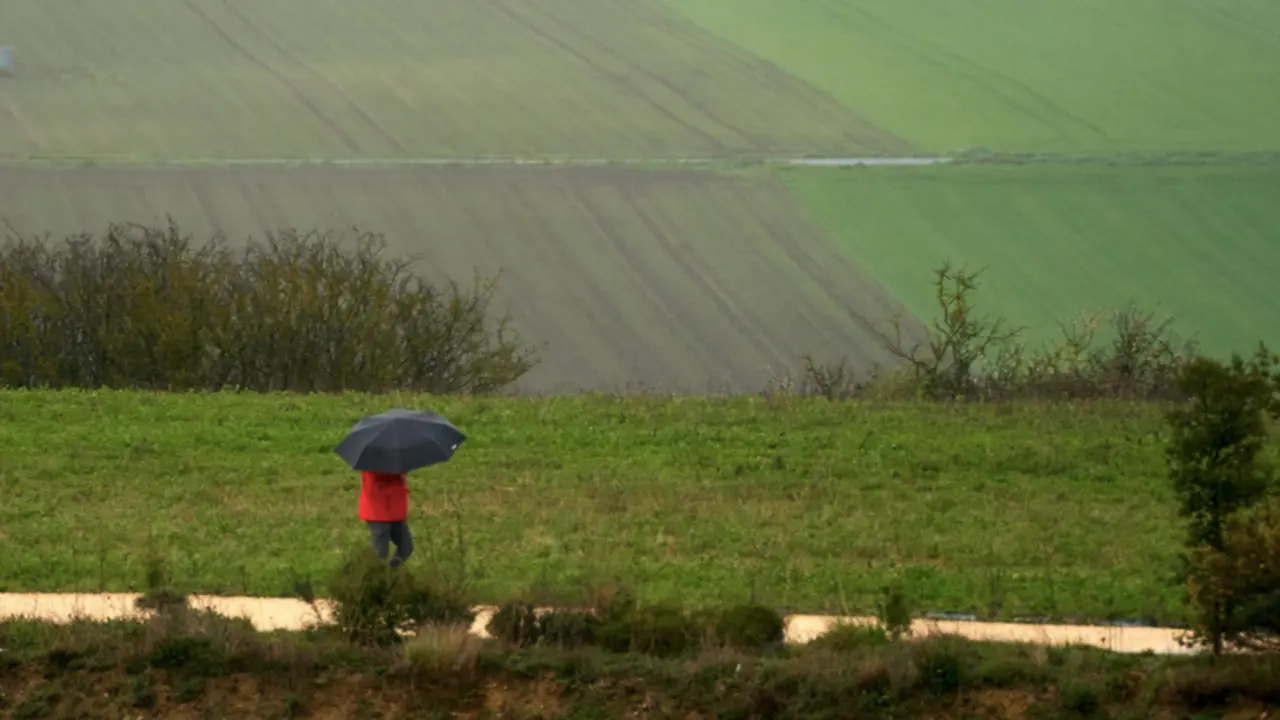  Captura de pantalla 2021-04-06 a las 9.16.58 