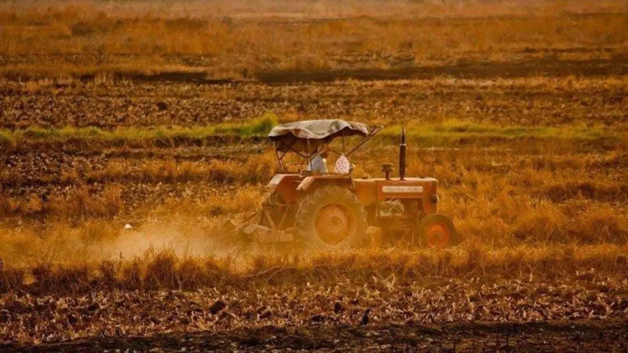  WhatsApp Image 2021-04-19 at 11.35.14 