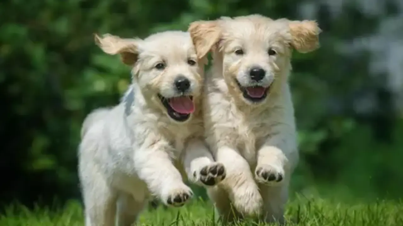  Captura de pantalla (236) 