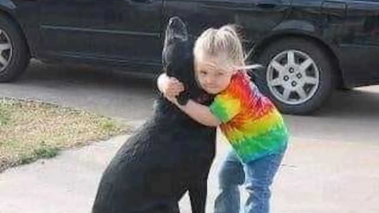  Una ni&ntilde;a y su perro. ARCHIVO 