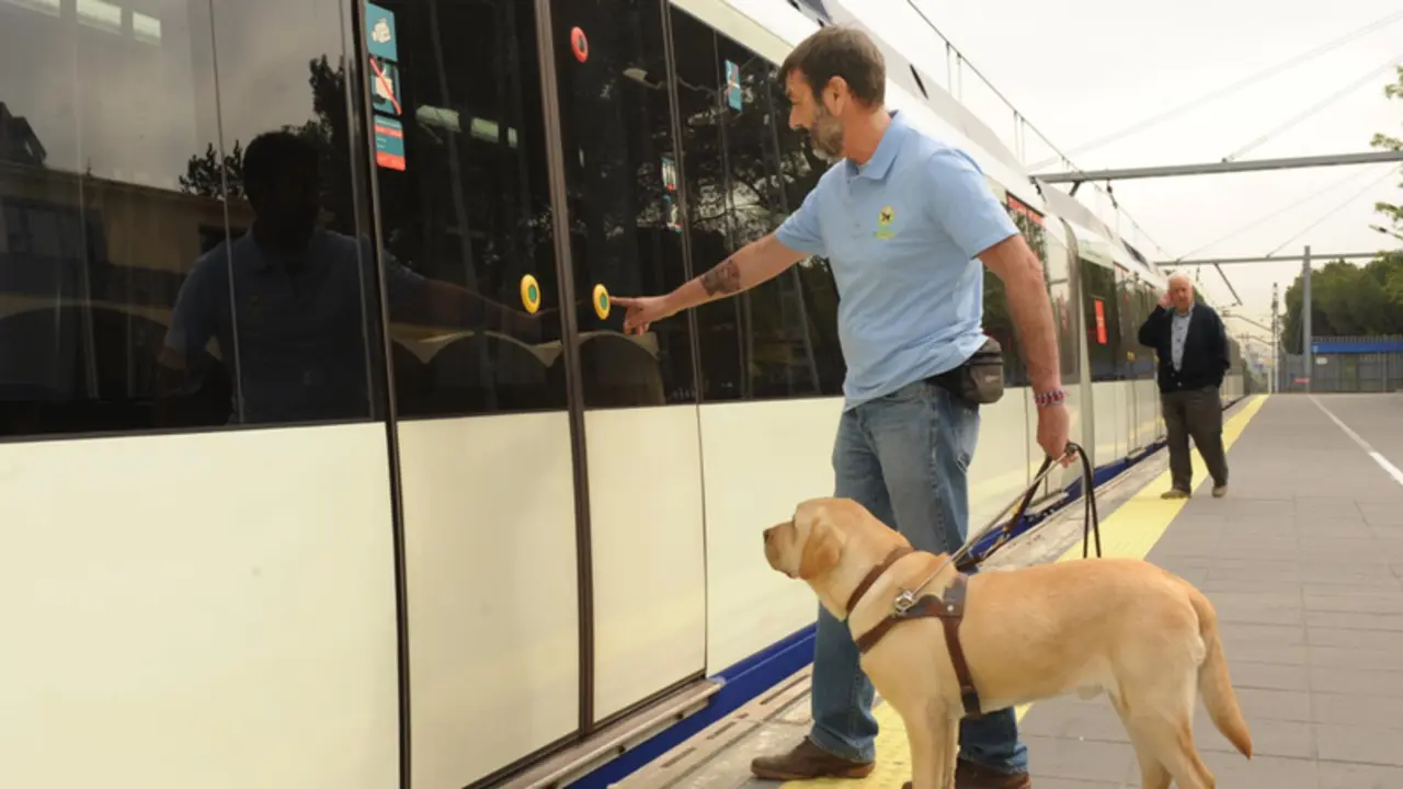  once perros gu&iacute;a 