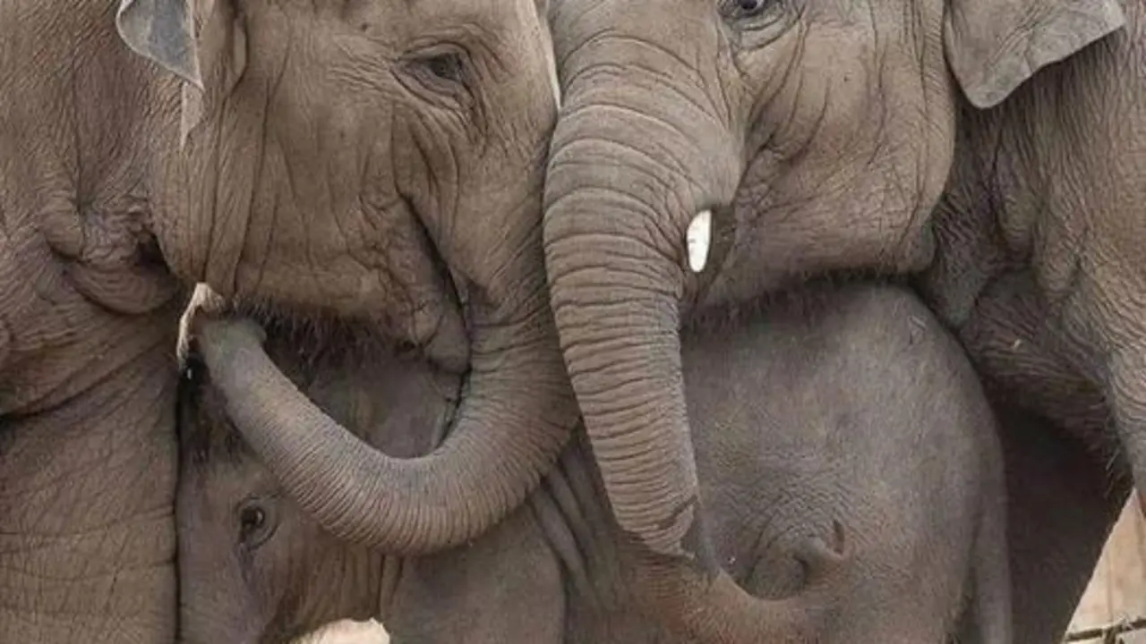  5005be69-1c2f-4b10-b850-9ca1c51bca59 