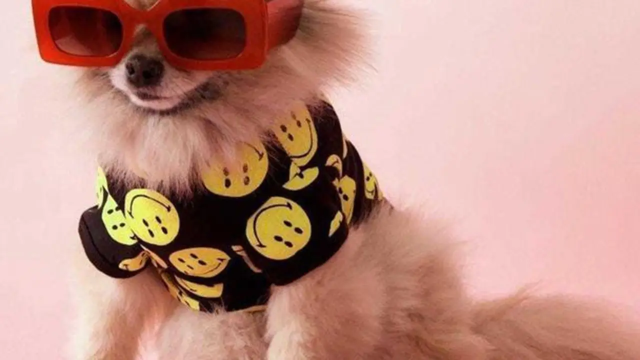 WhatsApp Image 2021-04-29 at 12.54.49