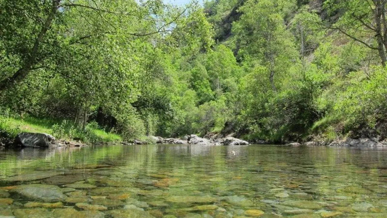  fotonoticia_20210513130417_1920 