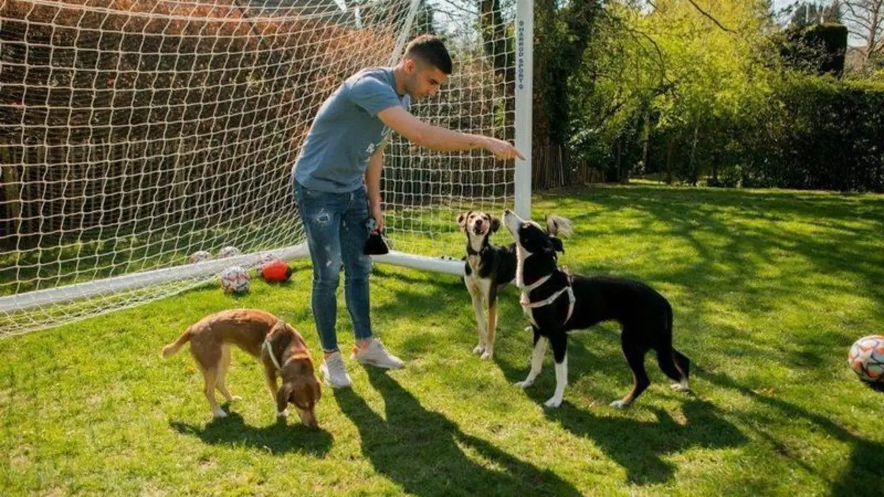  Ferran Torres cuidando a los perros en la p&aacute;gina web de 'Wild at Heart Foundation' 