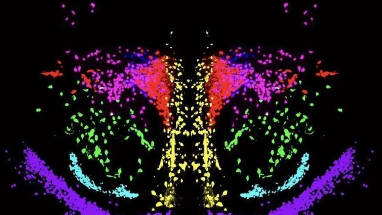  6813356F-A9AC-4023-9770-7964DFF8DBE8 