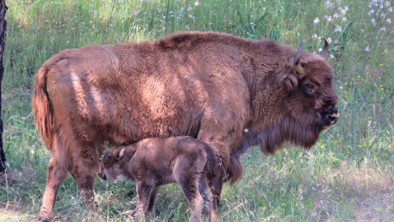  Captura de pantalla 2021-05-22 a las 11.04.32 