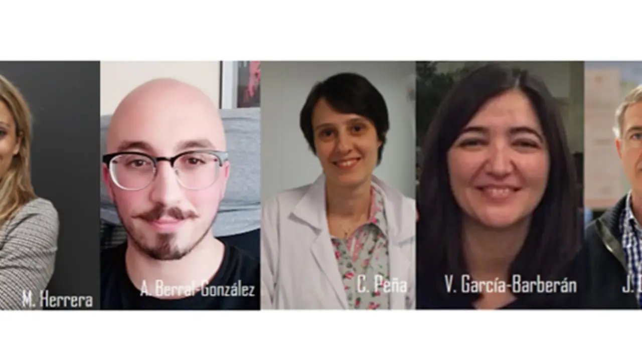  Investigadores del CIBER 