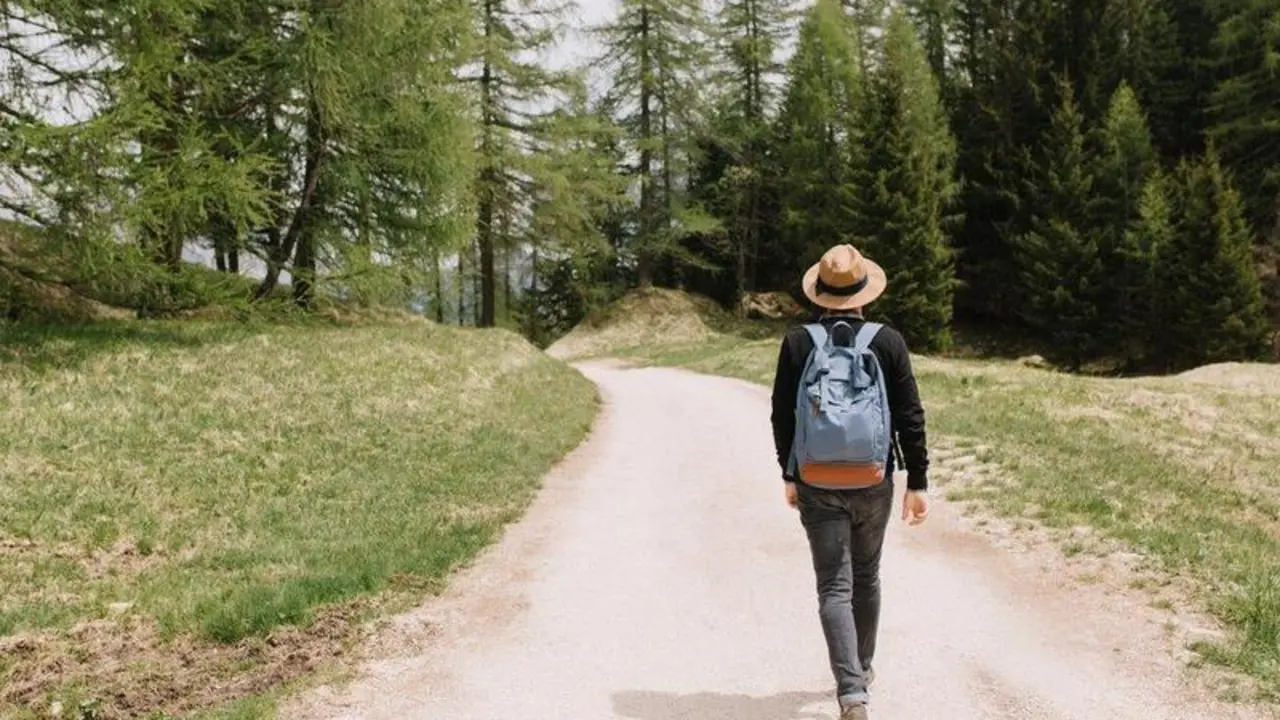 Full-length portrait from back of male traveler exploring summer forest in vacation. Young man wearing hat and black shirt walking outdoor, enjoying wonderful nature view in morning.