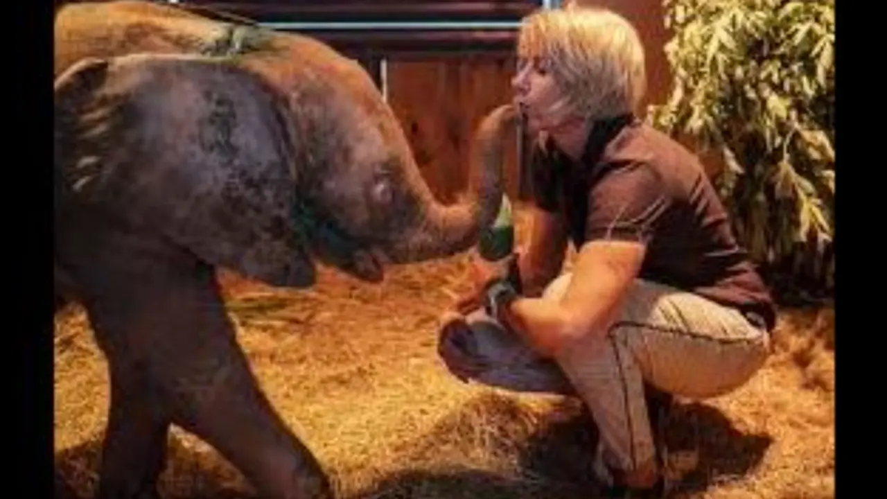  Khanyisa, la elefanta albina. Facebook 