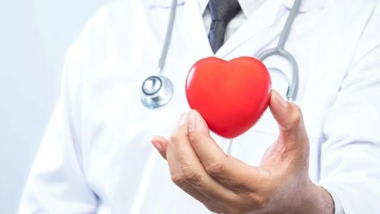 Professional medical doctor holding a red heart ball in the hospital. Concept of health care.