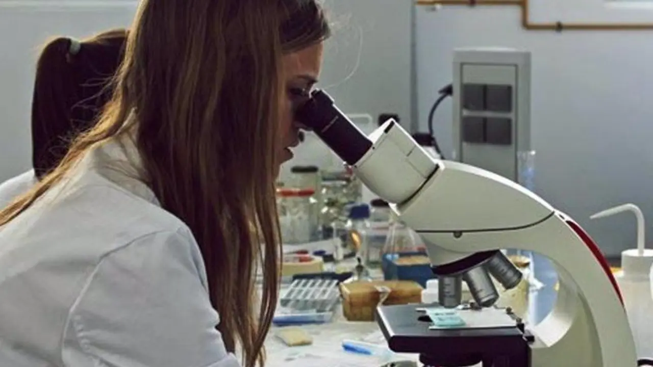  Microscopio industrial empleado en el estudio internacional para desarrollar nanopart&iacute;culas que eliminan gases nocivos en espacios cerrados - FUNDACI&Oacute;N DESCUBRE 