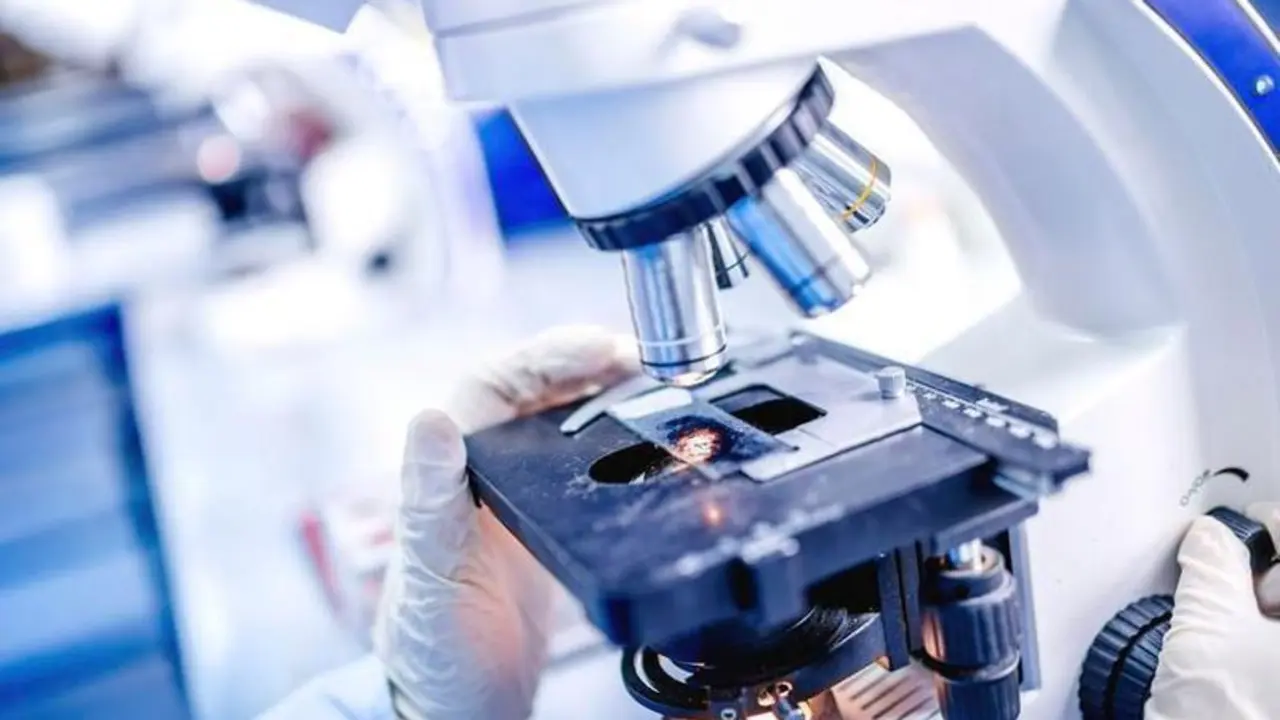  AECC de M&aacute;laga destaca la importancia de la investigaci&oacute;n 