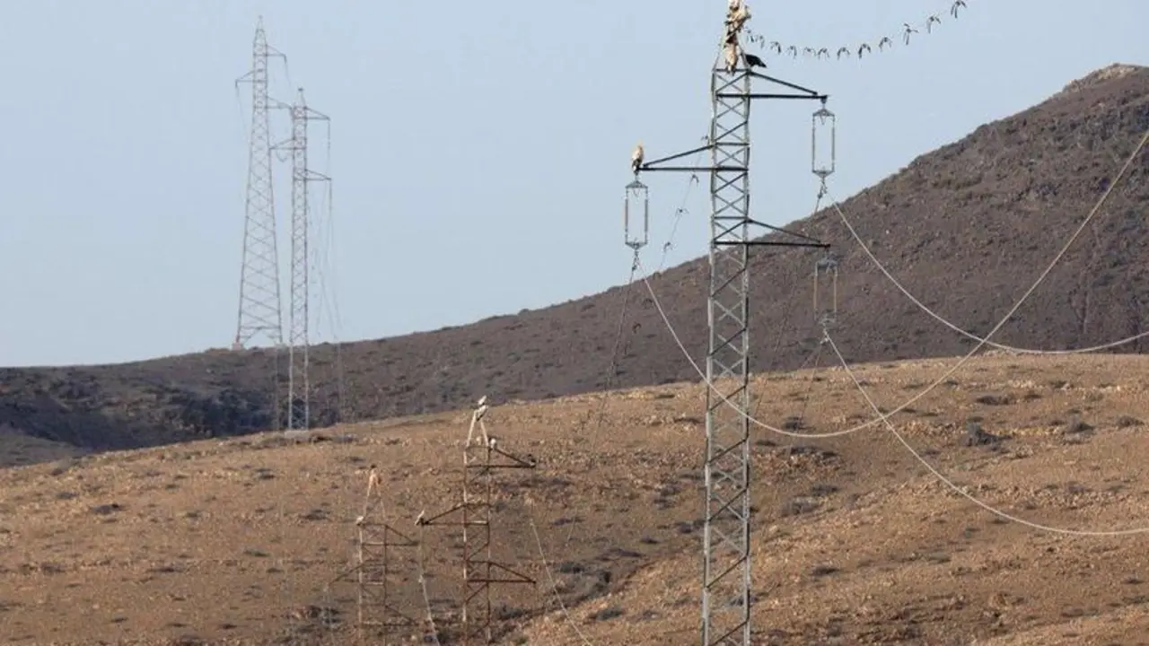 02-07-2021 Un estudio del CSIC analiza c&radic;&ge;mo reducir la mortalidad de las aves guirres vinculada a las torretas el&radic;&copy;ctricas.

El Consejo Superior de Investigaciones Cient&radic;&ne;ficas (CSIC) ha recopilado el &radic;&int;ltimo estudio de la Estaci&radic;&ge;n Biol&radic;&ge;gica de Do&radic;&plusmn;ana, con el que se ha analizado los patrones de uso de los tendidos el&radic;&copy;ctricos por el guirre, especie amenazada, y ha llegado a la conclusi&radic;&ge;n de que "la correcci&radic;&ge;n efectiva de aproximadamente un seis por ciento del total de torretas el&radic;&copy;ctricas presentes en el &radic;&deg;rea de estudio podr&radic;&ne;a evitar hasta un 50 por ciento de las electrocuciones de esta ave".

SOCIEDAD 
CSIC
