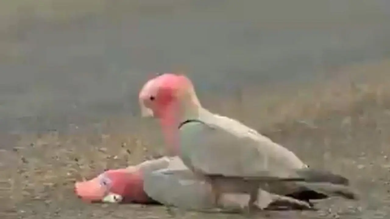  WhatsApp Image 2021-07-06 at 12.48.31 