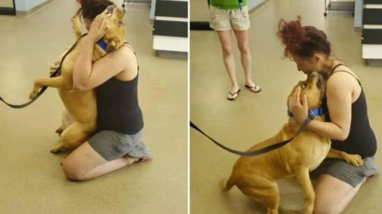  213384080_3182848501947714_5711869317362546955_n 