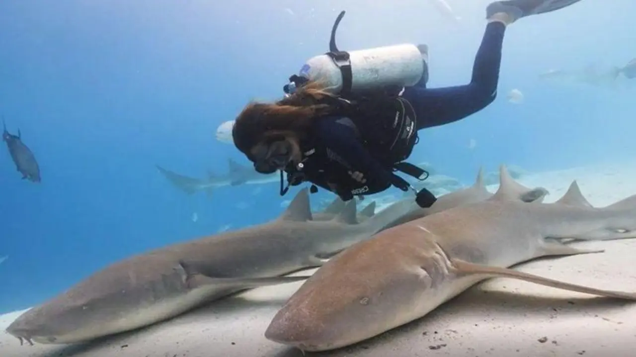  7FD41997-9BA8-44FB-A500-7E0F7B46D0D8 