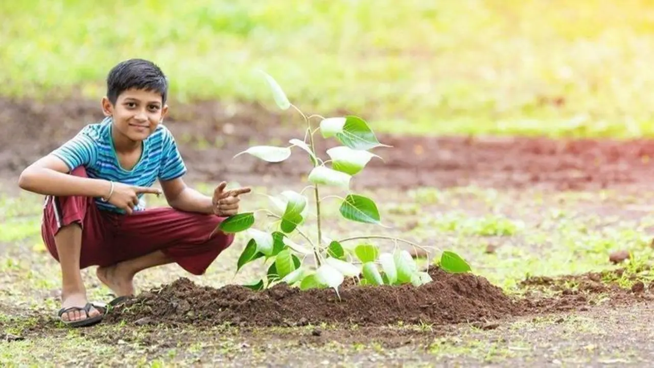  1BFE4FCB-535F-4CDB-9244-A2A495A8ADA0 