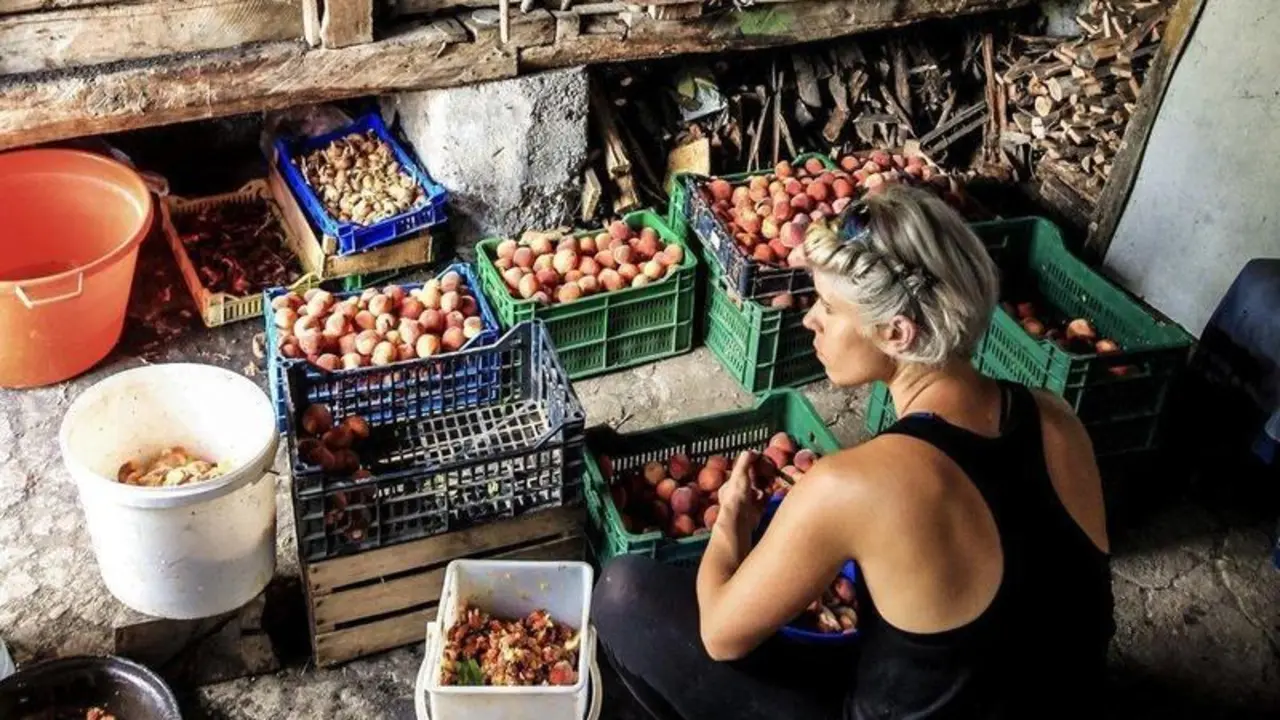 Alimentaci&oacute;n sostenible. Foto de Discover Serbia en Unsplash.