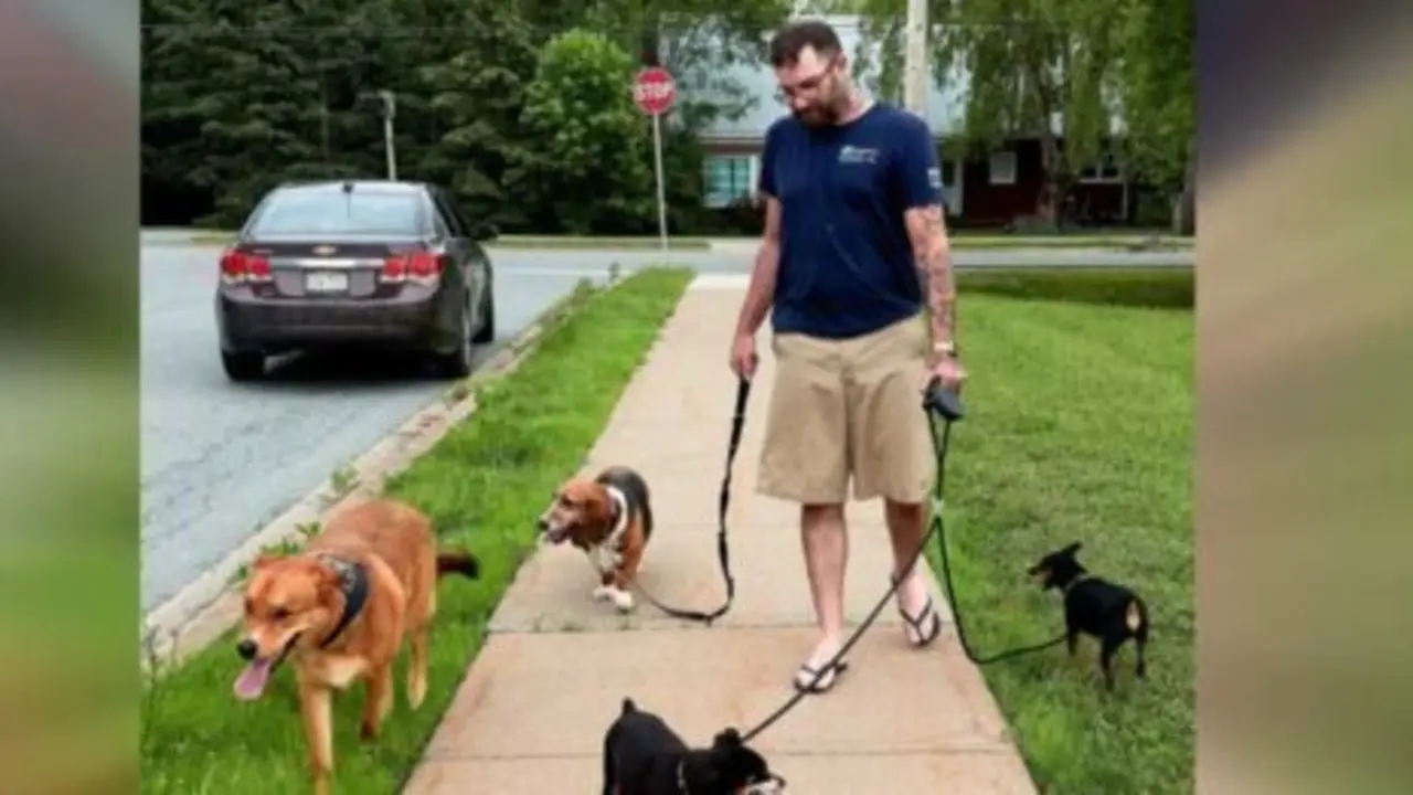  Un an&oacute;nimo cuida a los perros del accidente 