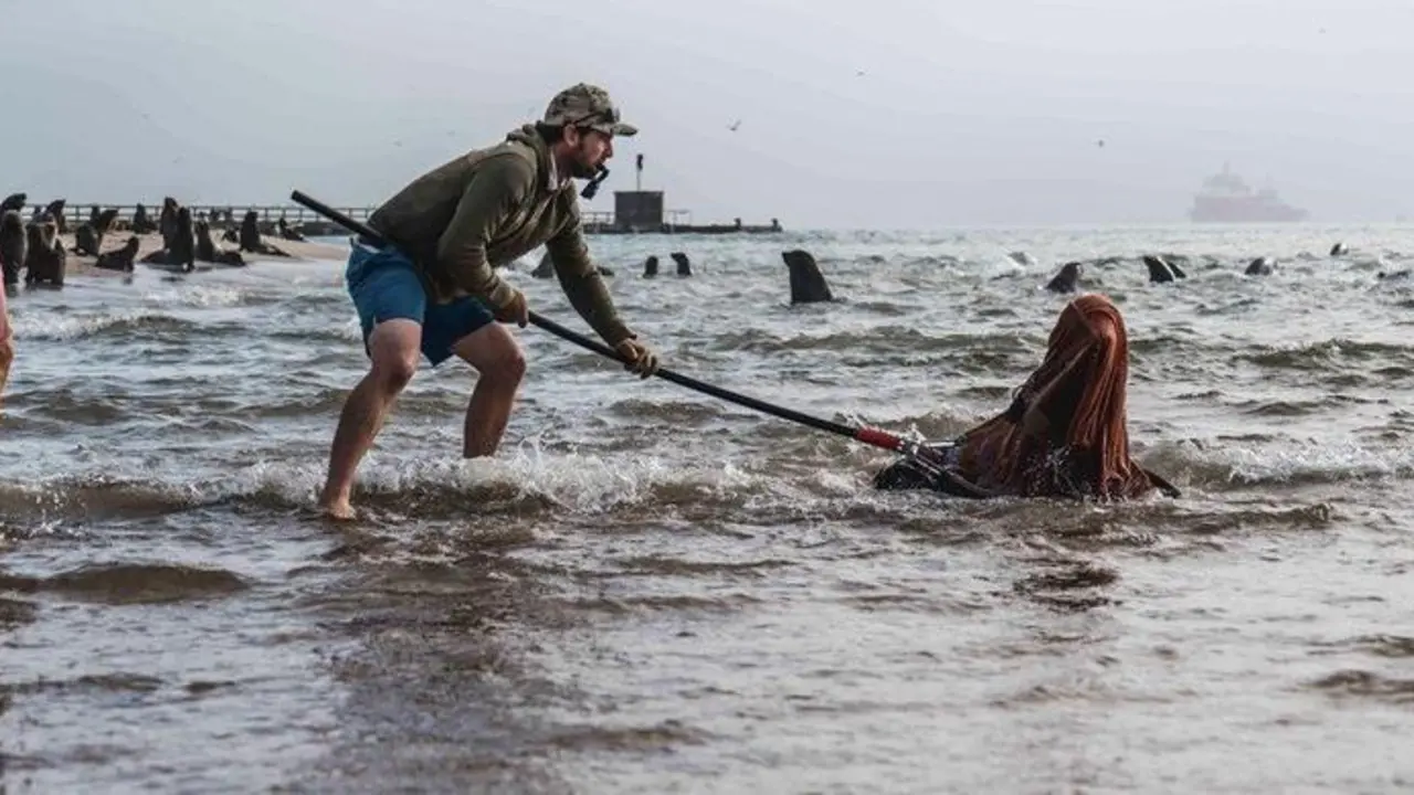  Voluntario de OCN rescatando a un ejemplar de lobo marino - Facebook - @OCNamibia 