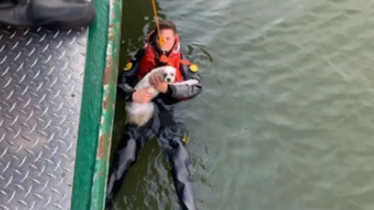  C2CSFGIMHFC6BCXR35Z6K35ZSM 