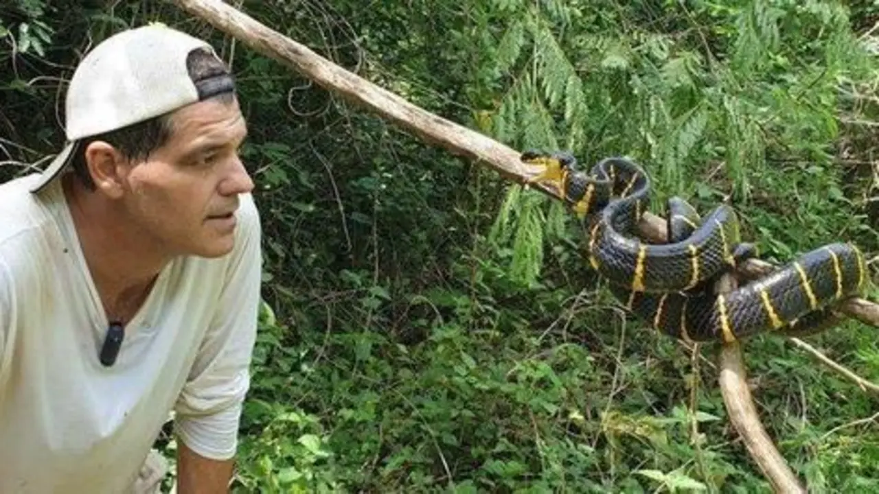  Frank Cuesta - Twitter 