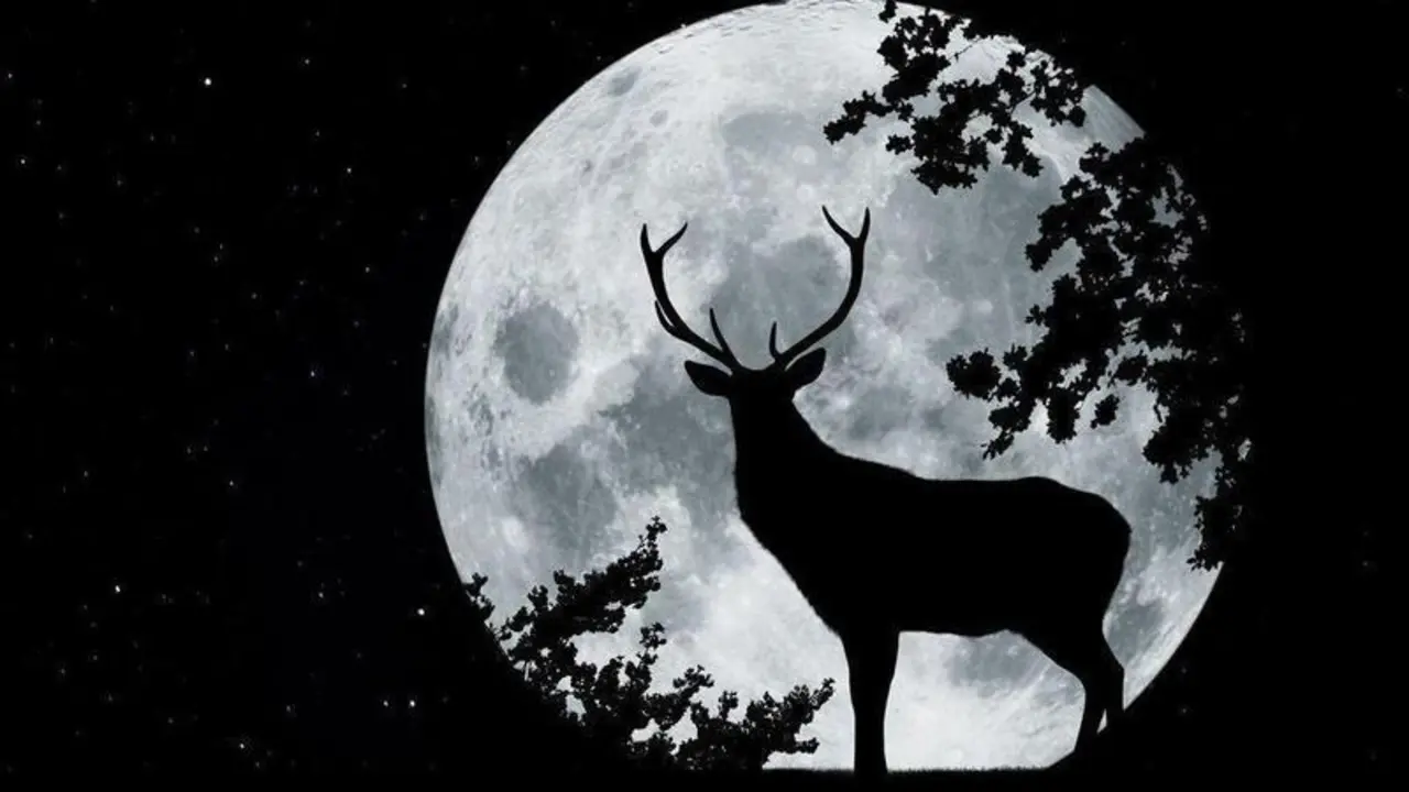  clipping_jd269m_d5e2 (1) 