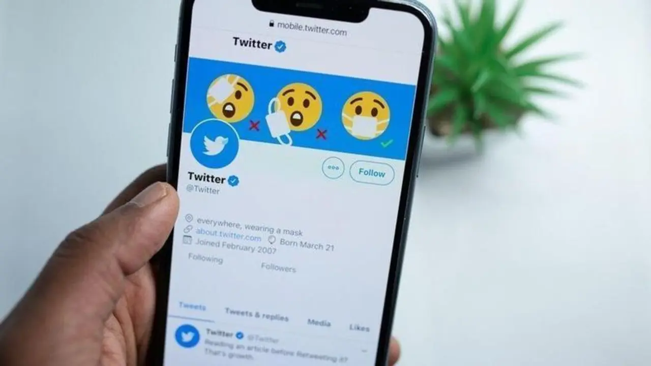  Imagen de archivo.PEXELS 