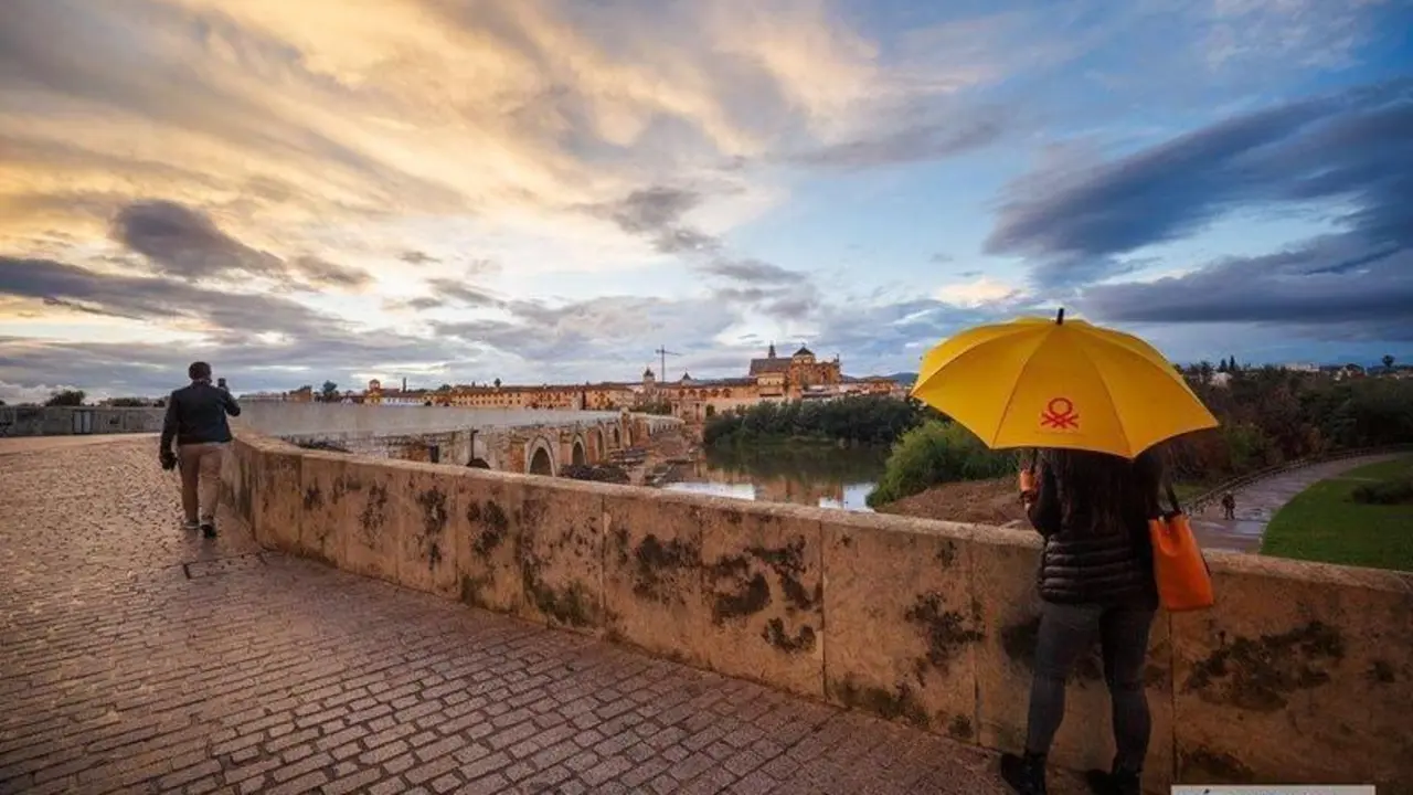  Lluvia en C&oacute;rdoba. | Jos&eacute; Le&oacute;n. 