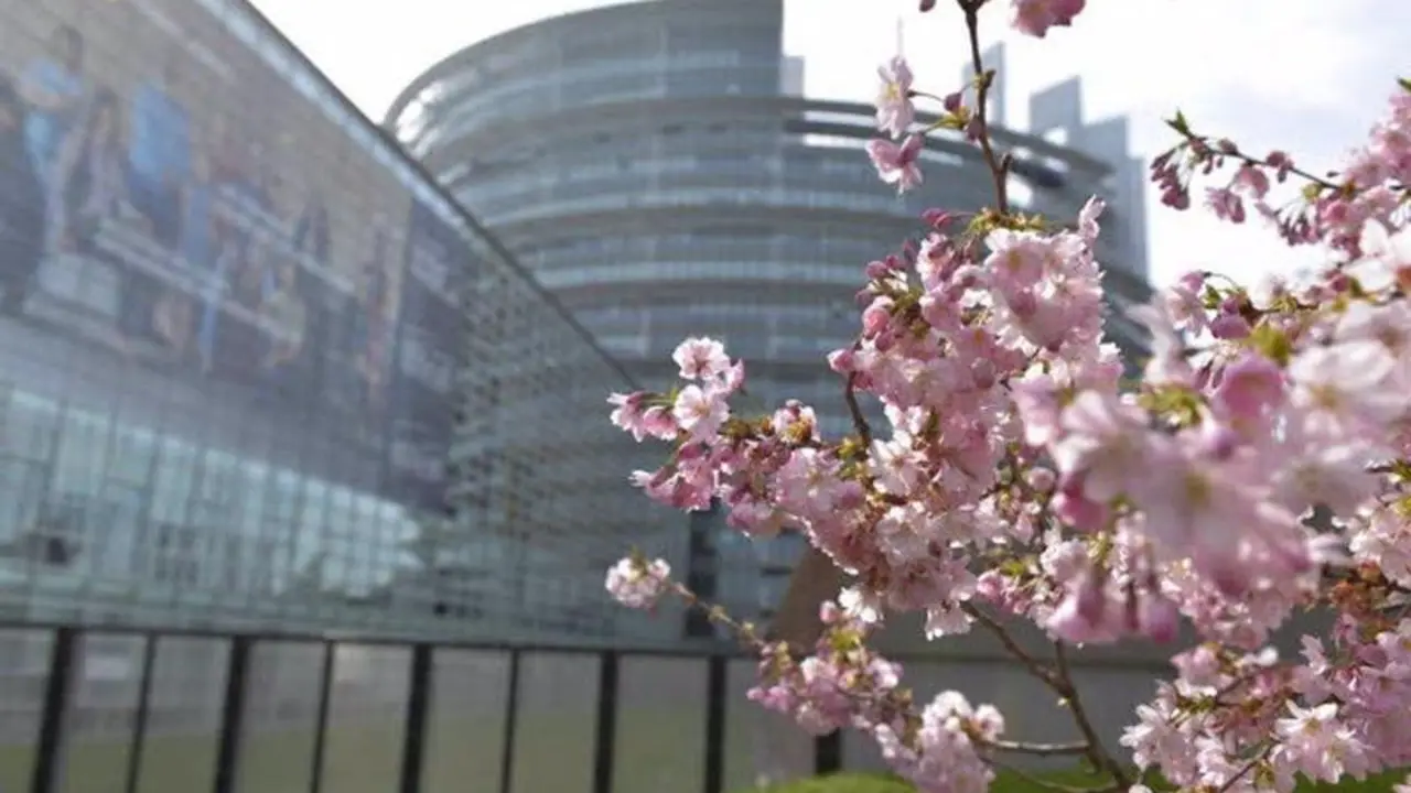 14-04-2014 Sede del Parlamento Europeo en Estrasburgo.
SOCIEDAD ESPA&radic;&euml;A EUROPA
PARLAMENTO EUROPEO

