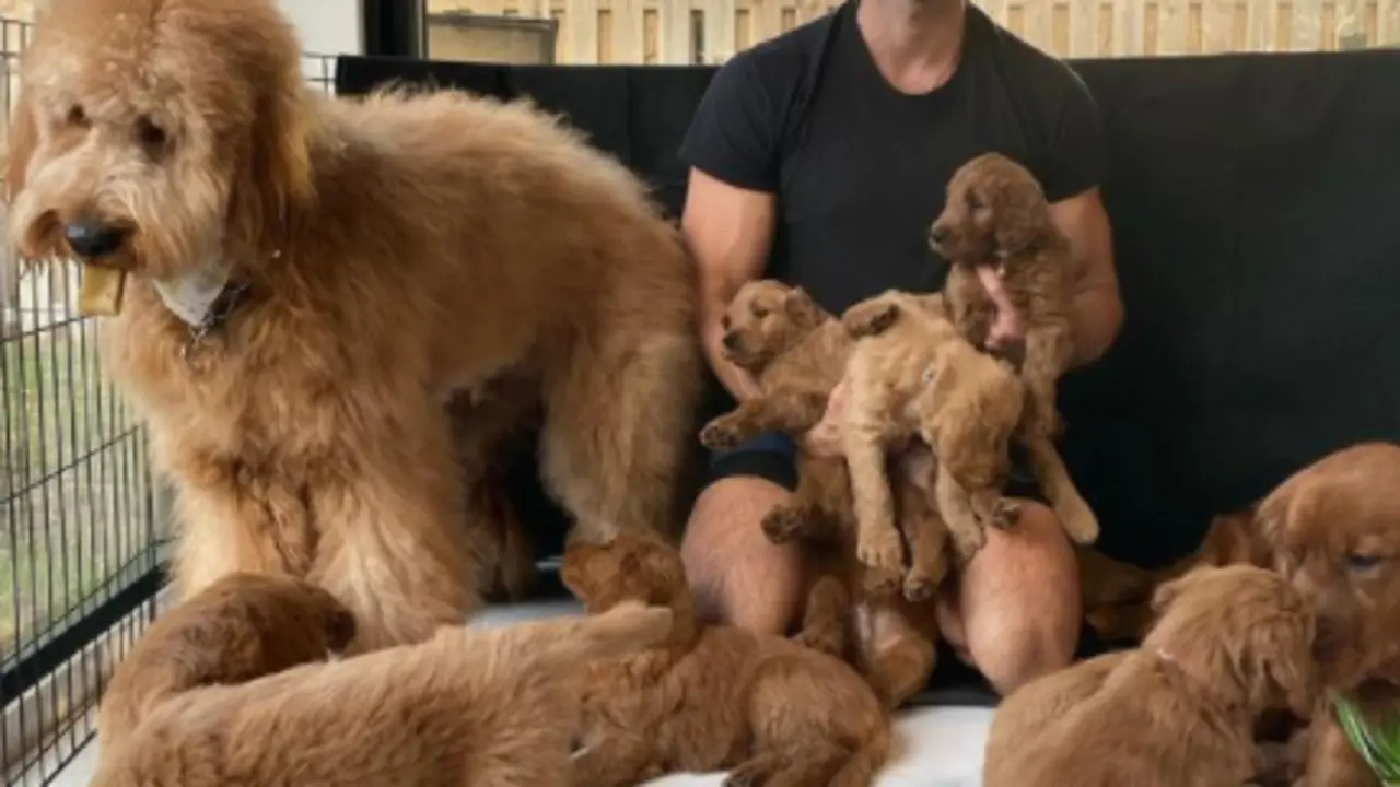 Foto instagram Cliff Brush