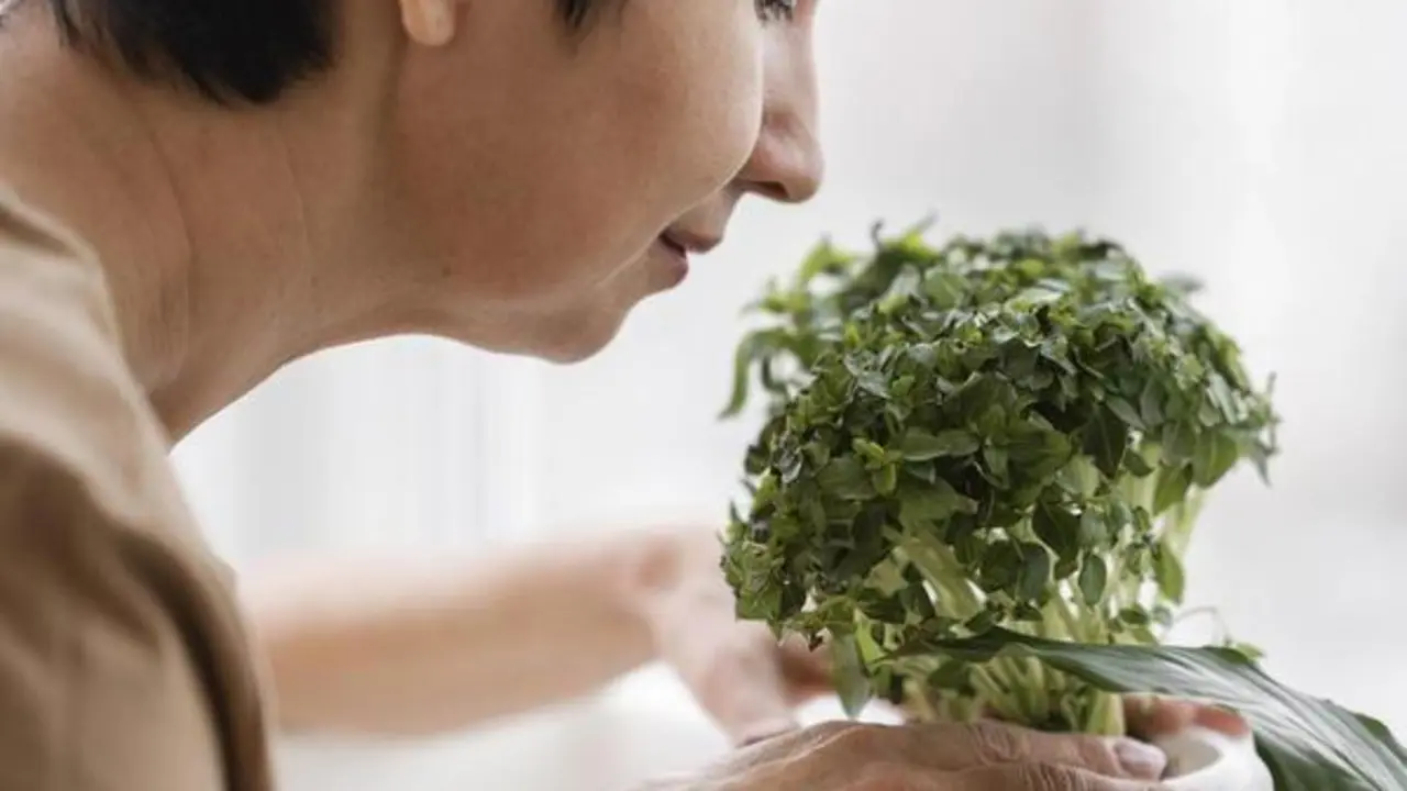  side-view-of-woman-smelling-indoor-plant 