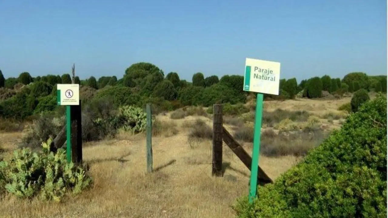  Uno de los parajes protegidos de la provincia de Huelva. - JUNTA DE ANDALUC&Iacute;A 