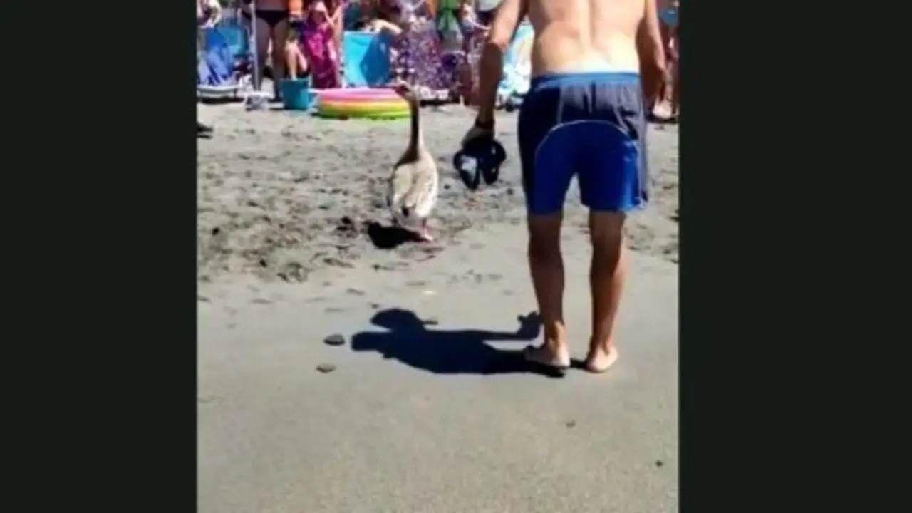  WhatsApp Image 2021-08-10 at 10.47.54 