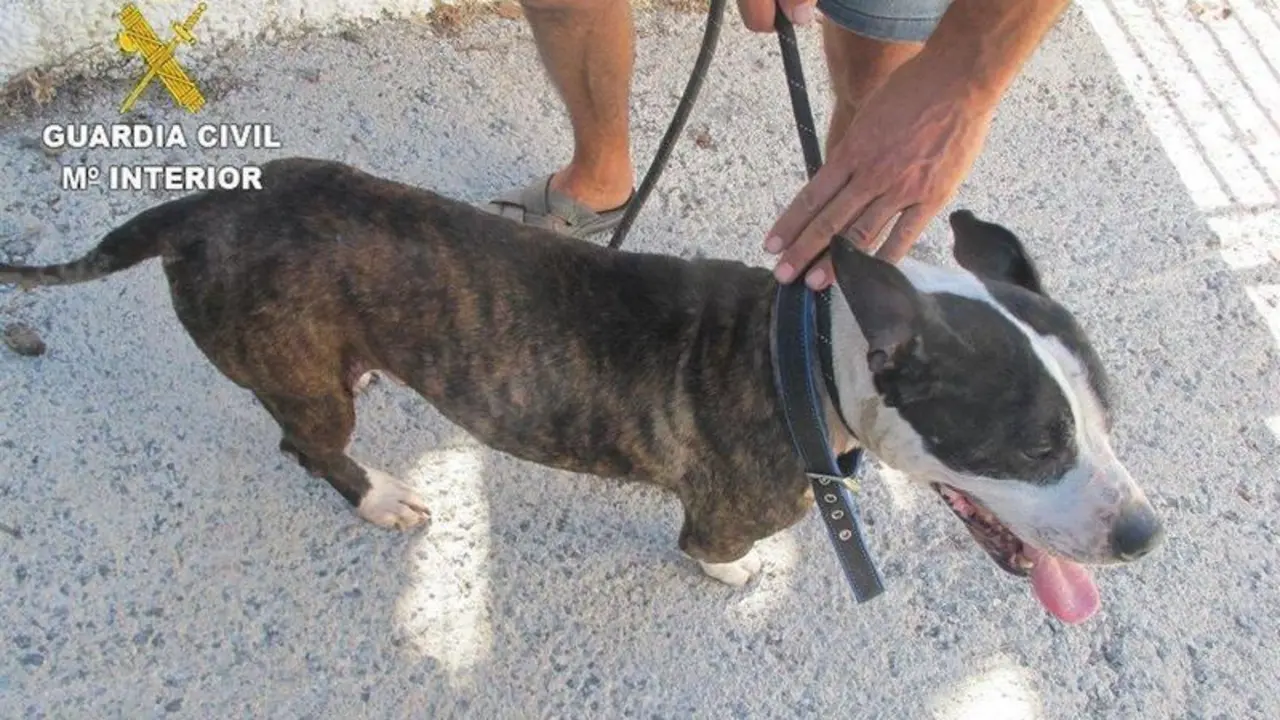  fotonoticia_20210812141638_1920 