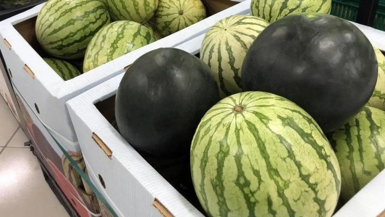 Sand&iacute;a en el lineal de Mercadona. - MERCADONA