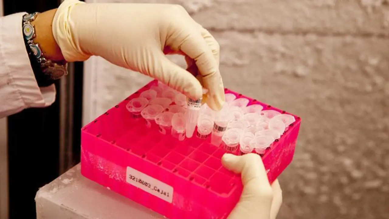  1613146074700SYF_EST 