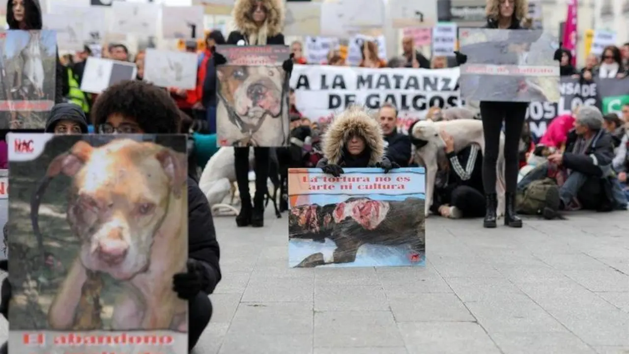  Archivo - Participantes en la manifestaci&oacute;n en Madrid "contra la caza, el maltrato, el abandono y la matanza" de perros de caza sostienen carteles, en Madrid (Espa&ntilde;a) a 2 de febrero de 2020. - Jes&uacute;s Hell&iacute;n - Europa Press - Archivo 