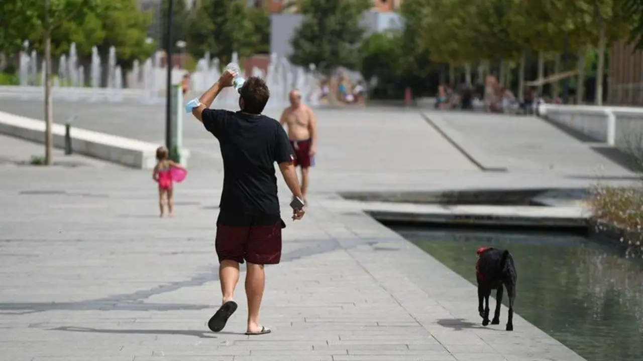  Un hombre pasea con su perro en el Parc Central, a 12 de agosto de 2021, en Valencia, Comunidad Valenciana (Espa&ntilde;a). - Jorge Gil - Europa Press 